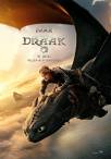 Hoe Tem Je een Draak (NL)