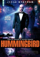 Hummingbird poster