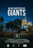 In the footsteps of Giants poster