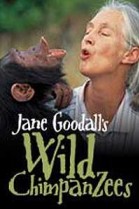 Jane Goodall's Wild Chimpanzees poster