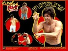 Kung Pow: Enter the Fist poster