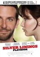 Ladies Night: Silver Linings Playbook poster