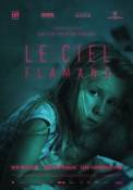 Le Ciel Flamand (2016)