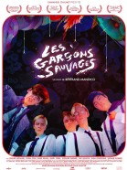 Les garons sauvages poster