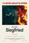 RBO 25/26: Siegfried