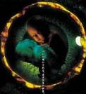 Ring 0: Birthday (2000)