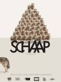 Schaap