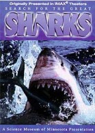 Search for the Great Sharks poster