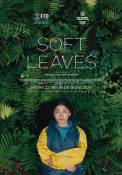 Soft Leaves (2025)