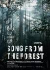 Song from the Forest