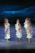 Swan Lake (ballet)