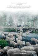 Sweetgrass (2009)