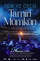 Tamiri Mümkün poster