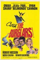 The Burglars poster