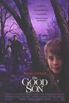 The Good Son poster