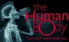 The Human Body poster