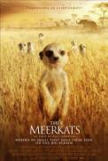 The Meerkats (2008)