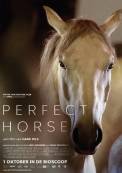 The Perfect Horse (2015)