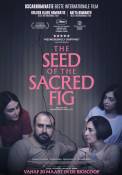 The Seed Of The Sacred Fig