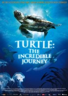 Turtle: The Incredible Journey poster