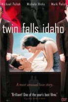 Twin Falls Idaho poster