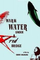 Warm Water Under a Red Bridge poster