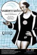 Watermarks (2004)