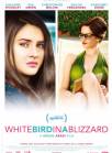 White Bird in a Blizzard