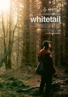 Whitetail poster