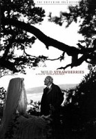 Wild Strawberries poster