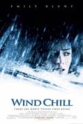 Wind Chill (2007)